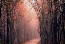 开云体育入口-瑞典乒乓球队强势反击中国队，许昕出奇制胜助攻制胜局