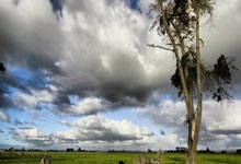 开云平台-德国网球队力克意大利网球队，纳达尔一己之力扛起全队