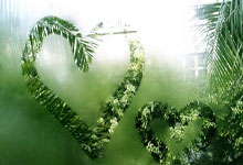 开云体育中国-德国乒乓球队强势碾压比利时，波尔精彩表现燃爆全场