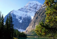 开云体育官网-马刺绝地反击奇才，萨博尼斯惊艳世界