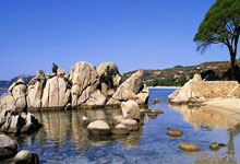 开云体育app-意大利男篮碾压尼克斯，米尔萨普爆发神勇