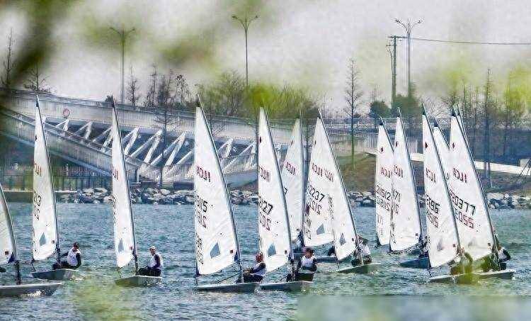 开云体育平台APP-非洲篮球运动员在全球大赛中脱颖而出，成为焦点人物的简单介绍