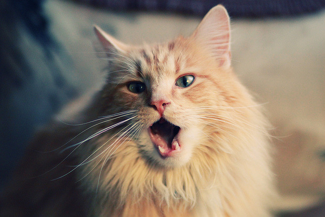 开云体育-英超争冠夜终局之战，福登用史诗救赎完成加冕